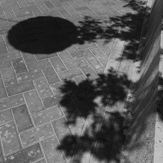 Ng Hon Lam_In Memory Of KH 2